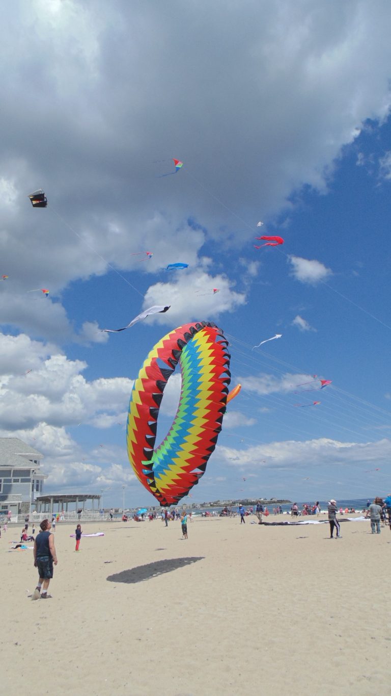 Exeter Hospital's Kites Against Cancer event